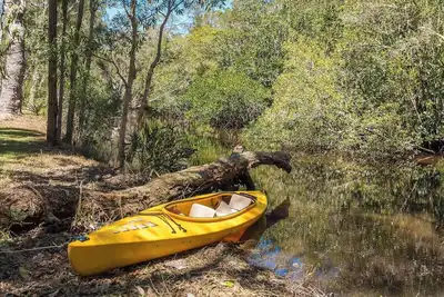 Image de Noosa Riverside Cottage dans un cadre de brousse australien