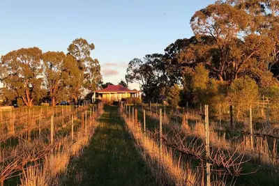 Studio sur un vignoble au coeur des Goldfields