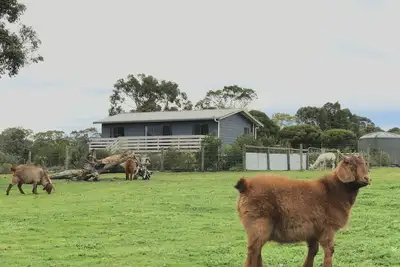 Image de Maison de vacances sur 6 hectares (Ferme)