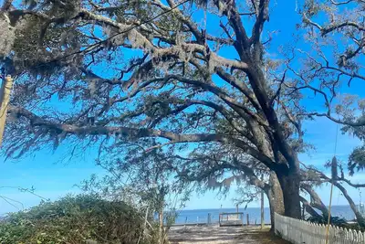 Image de Endroit calme sur Mobile Bay avec une vue magnifique et un accès à la jetée