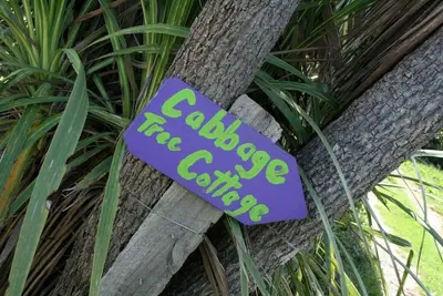 Image de Gentle Annie's Cabbage Tree Cottage