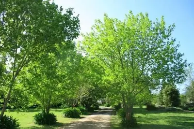 Image de Melross - La Maison Rye