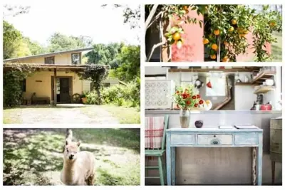 Image de Séjour à la ferme d'époque Bellingen: WeilHouse Living