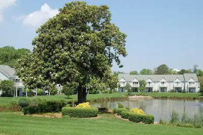 Image de Maison de ville au bord du lac de 3 chambres dans une communauté calme avec piscine