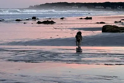 Image de Longs Sands Beach Cottage avec Bunkhouse récemment rénové à pied rapide à la plage!