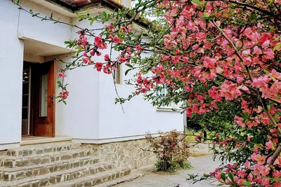 Image de Superbe maison avec beau jardin, 5 chambres, terrasse, dans le centre ville