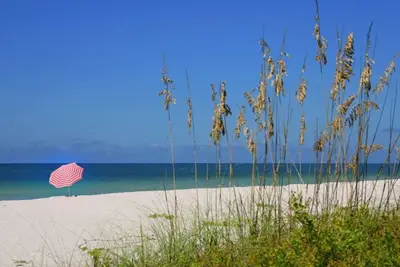 Image de Siesta Key Beach Side - Propre, confortable et pratique!
