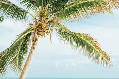 Image de Maison privée avec accès à la plage, dans la plus belle des Florida Keys