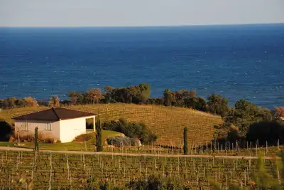 Image de Villa 62M² Au Coeur Des Vignes Face Mer Piscine Partagee Chauffee