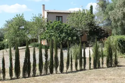 Image de Maison \/ villa - Manacor