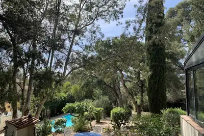 Image de Cabanon provençal prés de Sanary, dans pinède, piscine privée