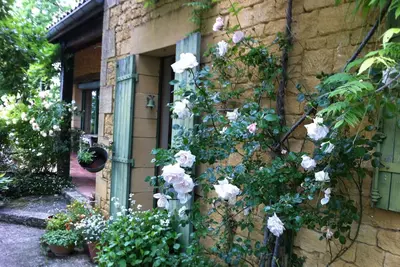 Image de Petit coin de paradis intérieur/extérieur