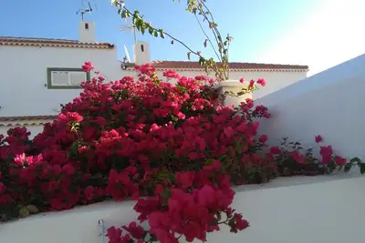Abades Sun House - Tenerife. Îles Canaries. Vv A-38-4. 000724