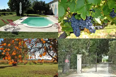Image de Mas de caractère avec piscine face au vignoble du propriétaire
