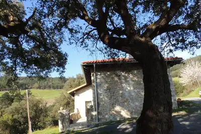 Image de Eskola 87, Pays Basque