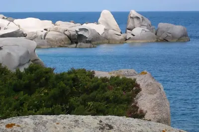 Image de Appartement avec une vue imprenable sur le Bocche di Bonifacio