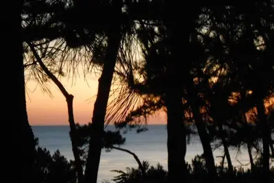 Image de Saint Palais Sur Mer à 100 m de l'océan, Villa Familiale Independante Paisible