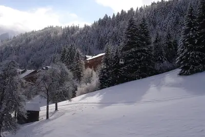 Image de Familiale Appartement avec balcon et superbe vue sur la montagne