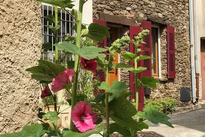 Image de Charmante maison provençale en pierre avec terrasse sur le toit et fantastique vue lointaine