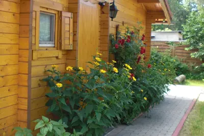 Image de Accueil BerlinNah cabane romantique