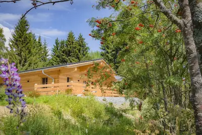 Image de Chalet de luxe neuf dans le parc national de la forĂŞt bavaroise jusqu'Ă 4 personnes