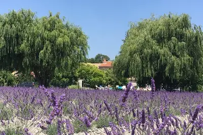 Image de Le mas de la tourterelle 10/12 personnes - Notre maison