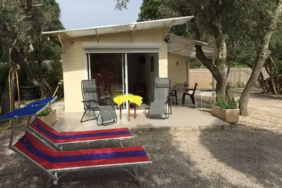 Image de Petite maison dans oliveraie à côté d'Argeles Sur Mer