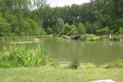 Image de Maison Xv siècle confortable, avec étang privé pêche, piscine dans parc arboré