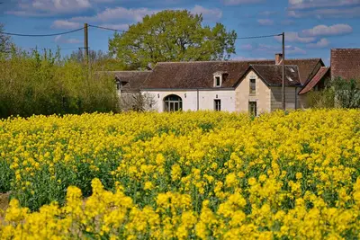 Image de Ferme paisible au milieu des champs et des bois, rénovée tout confort