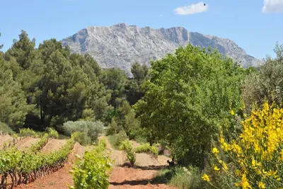 Image de Gîte au milieu des vignes - Grenache