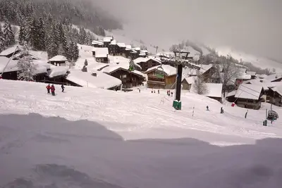 Image de Le ski comme vous l'aimez