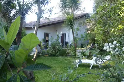 Image de Belle villa Spacieuse 120m2, arborée à 5min de l'océan et 100m forêt landaise
