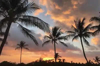 Image de A201 Wow! Le paradis hawaïen! Superbe vue - Rénové - Luxe 2 Bdrm - Proche beac