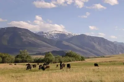 Image de Vues spectaculaires sur les montagnes - Roscoe Rental Home