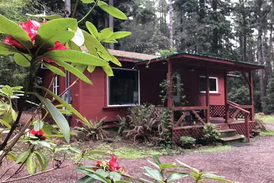 Image de Kona Cabane dans les Redwoods