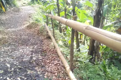 Image de Échapper à la jungle éco lodge et cascade