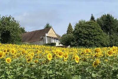 Image de Retraite rurale parfaite pour des vacances en voiture dans le Périgord Vert