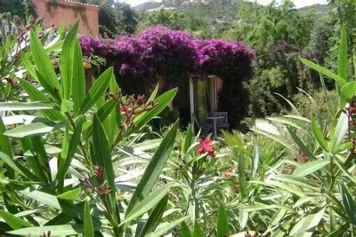 Image de Nature et calme pour vacances en bord de mer