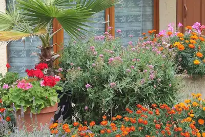 Image de Les Gîtes fleuris du \"Pinte\" Goutz en Lomagne gersoise