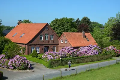 Bel appartement 1 pièce avec terrasse et jardin boisé au bord de la Mer du Nord