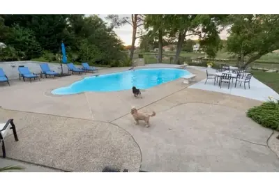 Image de Bord de l'eau Piscine privée et Big Beach House