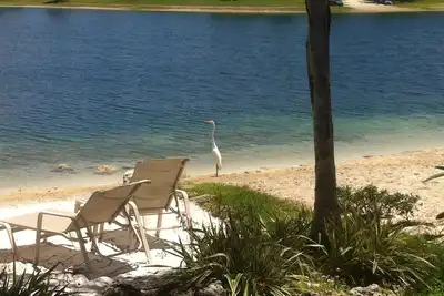 Image de Conçu pour le confort 3\/2 Lakeside, près de tout East Kendall Miami