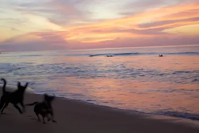 Image de Casita romantique près de la plage à San Pancho Nayarit- Intimité, jardins luxuriants et piscine