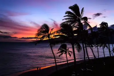 Image de Condo CÔTÉ Oceanfront! ! ! RÉCEMMENT RÉNOVÉ! ! ! !