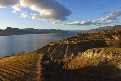 Image de Beau vignoble au bord du lac au coeur du pays du vin, suite 2br