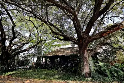 Image de la maison de Quaint 1920 w / charme unique.