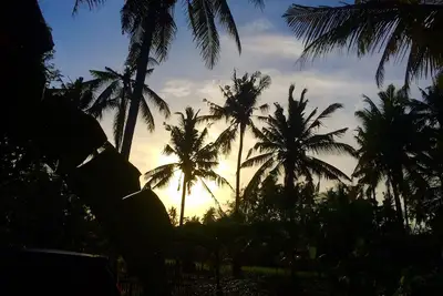 Image de 40mbps Ubud Cabine en bois privée