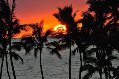 Image de Wailea Dream location, mise Ă jour, climatisation, barbecue Weber, piscine Salt H2o, etc.