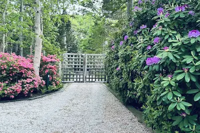 Image de Artiste isolé et maison d'architecte avec jardin magique, milieu du siècle moderne