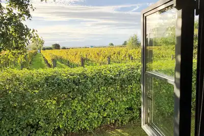Image de Séjournez parmi les vignes à Martinborough